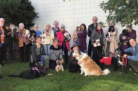 Ladysmith Chemainus Chronicle - News update