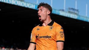 Sheffield Wednesday 0-1 Hull City: Hughes' Late Goal Secures Vital Win for Tigers