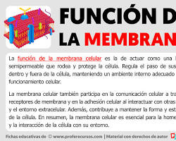 Imagen de Interacción de la célula con el entorno a través de la membrana celular