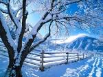 Resultado de imagen para neige