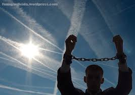 Resultado de imagen de chemtrails