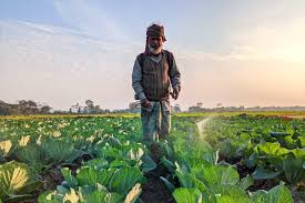 Nearly Half of Farmers Globally Poisoned by Pesticides Each Year