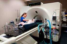 Image result for ct scan