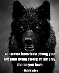 Lone Wolf Quotes. QuotesGram via Relatably.com