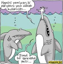 Erdil Yaşaroğlu ile ilgili görsel sonucu