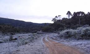 Canal Rural - News update