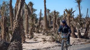 العربي الجديد - News update