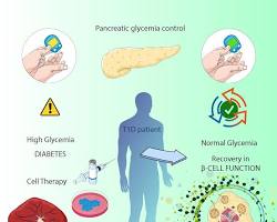 صورة medical breakthrough diabetes cure stem cells or gene therapy concept