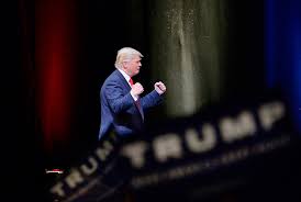 Image result for Trump July 2016