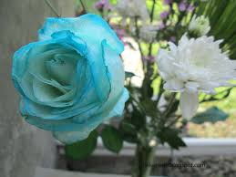 Image result for karangan bunga mawar biru