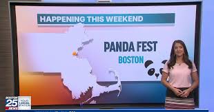Happening this Weekend: Panda Fest, Art and Food Truck Fest, Classic Rock Concert