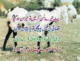 Image result for bakra eid 2015 pakistan