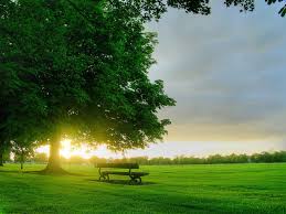 solitudine