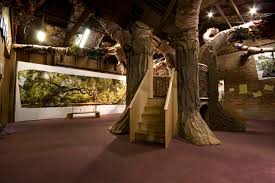 Image result for childrens museum of low country