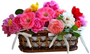 Résultat de recherche d'images pour "fleur et merci"