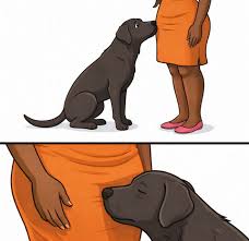 Photo by 7daysgon3 &middot; October 22, 2025