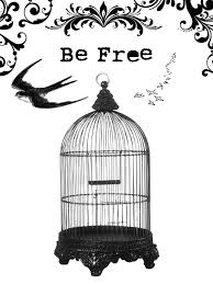be free____seja livre
