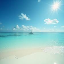 Travel And Tour World - News update