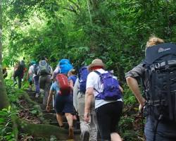 Image of Trekking in Havelock Island