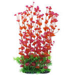 Compresseur aquarium plants