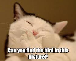 images?q=tbn:ANd9GcQ2od3n_sbENEwIncwWeO74XiNAvsK1b3HNW5J7u1_XJCJhc7Je