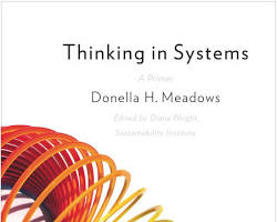 Image of Thinking in Systems: A Primer by Donella Meadows