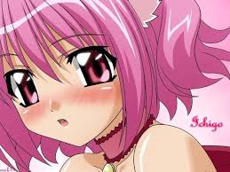 Résultat de recherche d'images pour "mew mew tokyo ichigo"