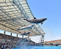 名古屋港水族館の画像