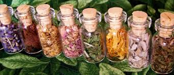 Resultado de imagen de medicina herbaria