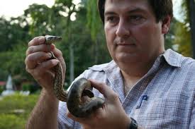 Brazilian conservation biologist, Dr. Carlos Peres, 44, is a team leader at the NGO Fundação Ecológica Cristalino, and over the last 20 years has led ... - C_Peres-inspecting-a-small-anaconda