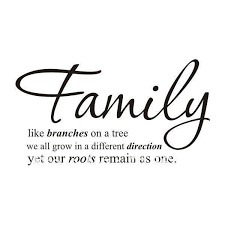 Vinyl Wall Art Quote Dr Seuss, Love - We are All a Little Weird ... via Relatably.com