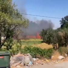 Yeni Şafak - News update