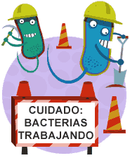 Image result for imagenes probióticos
