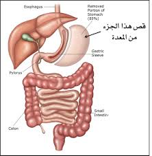 الصحة العامة لفوق ال65سنة Images?q=tbn:ANd9GcQ3HXsY-1g7iu1I37JmuFbcYPr6nGgLdADxfrXInVatLugQgF8ciA