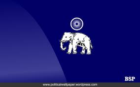 Image result for bsp party image