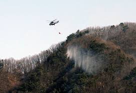 밀양 산불 아이콘