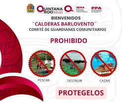 La Jornada Maya - News update