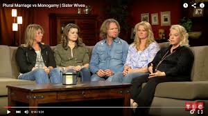 英和画像辞典：(wife (wives))の意味は画像で解説！見るだけで「wife (wives)」の意味が分かる・覚えられる 