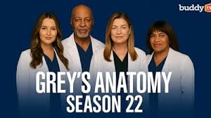 grey's anatomy