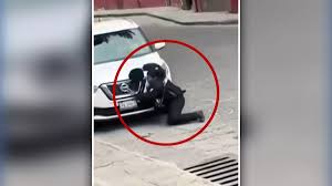 Policía De Tránsito
