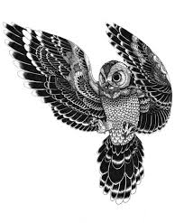 Résultat de recherche d'images pour "owl ink drawing"