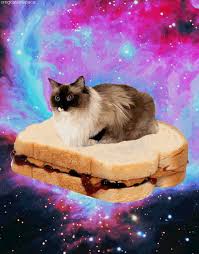Image result for welcome to the internet meme