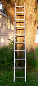 Werner 16 ft. Aluminum Extension Ladder (16 ft. Reach Height ...