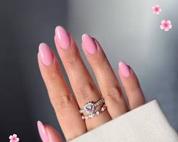 Image de Short Pink Almond Nails