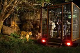 Hasil gambar untuk bali safari marine park