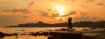 英和画像辞典：(the competition)の意味は画像で解説！見るだけで「the competition」の意味が分かる・覚えられる 