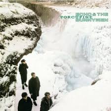 Резултат слика за echo and the bunnymen biografija benda
