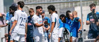 TSG Hoffenheim - News update