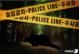 살인