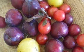 Image result for Prunes